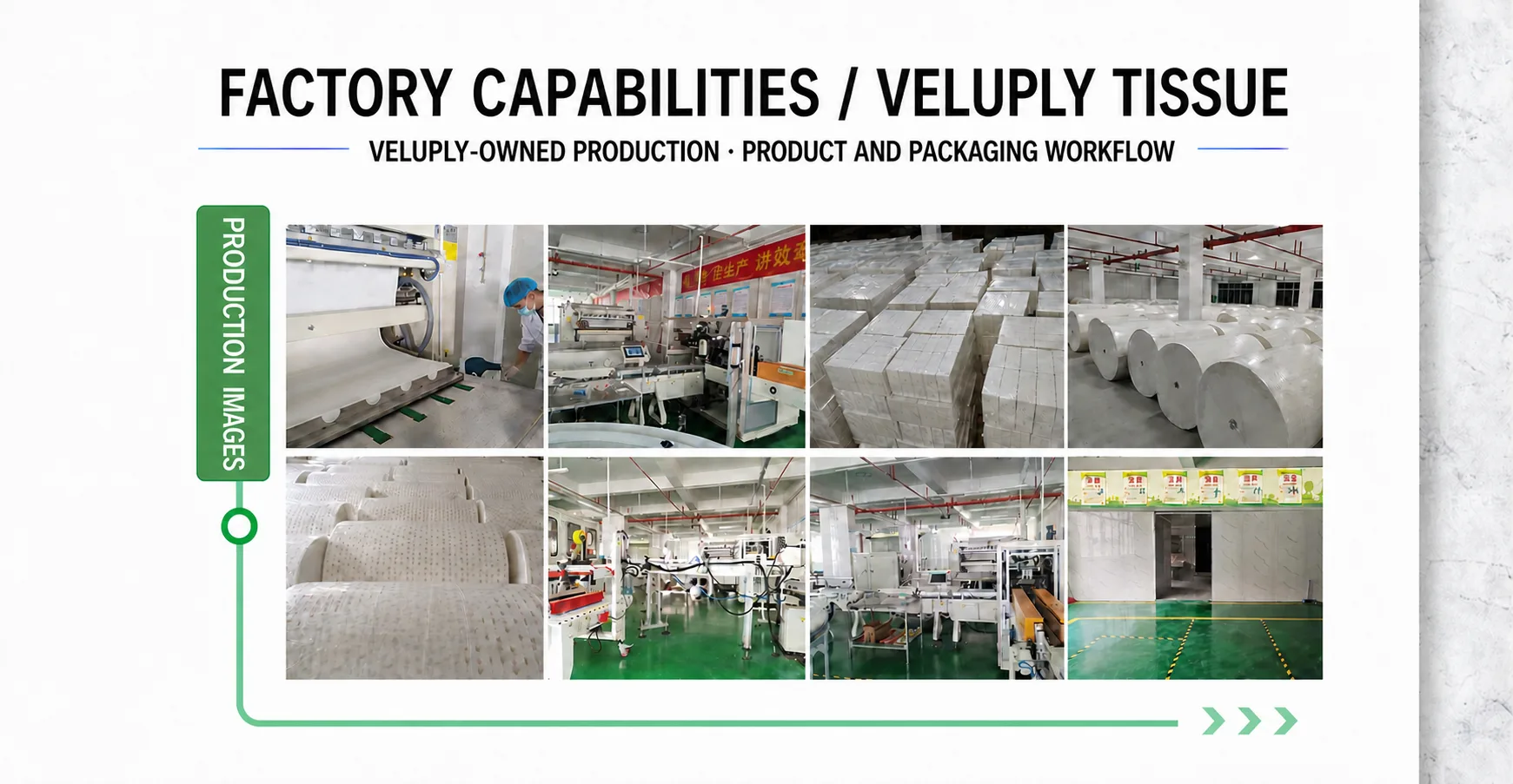 English-labelled gallery of VELUPLY tissue production facilities